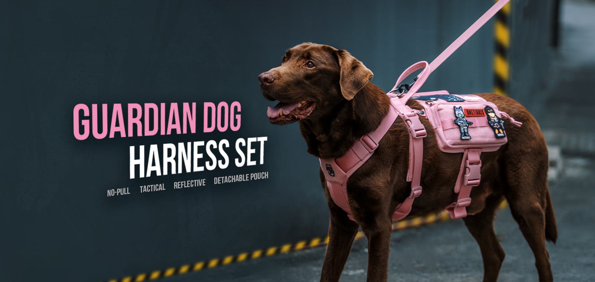 TrailPaw No-Pull Reflective Dog Harness, Front & Back Leash Clip, Adjustable