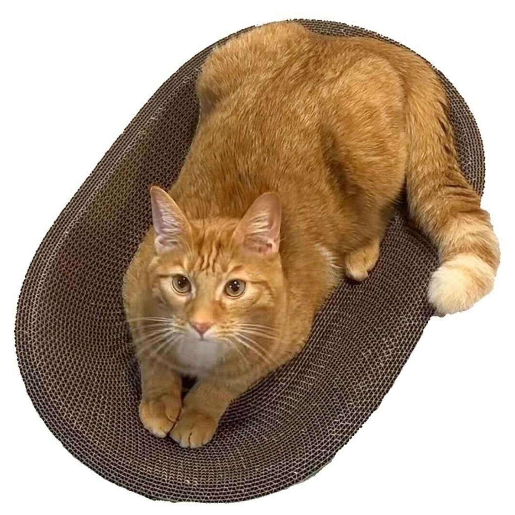 Felined Recycled Cardboard Cat Scratcher Lounge with Organic Catnip