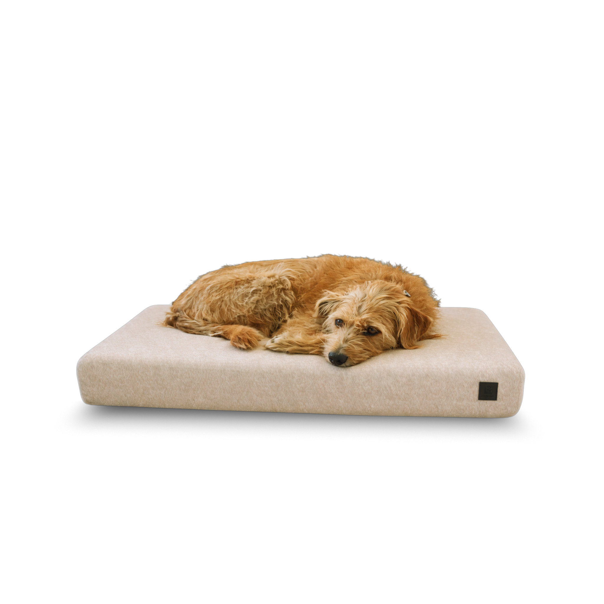 EHEYCIGA Orthopedic Dog Bed — Memory Foam Couch-Style Bed with Waterproof Liner & Washable Cover
